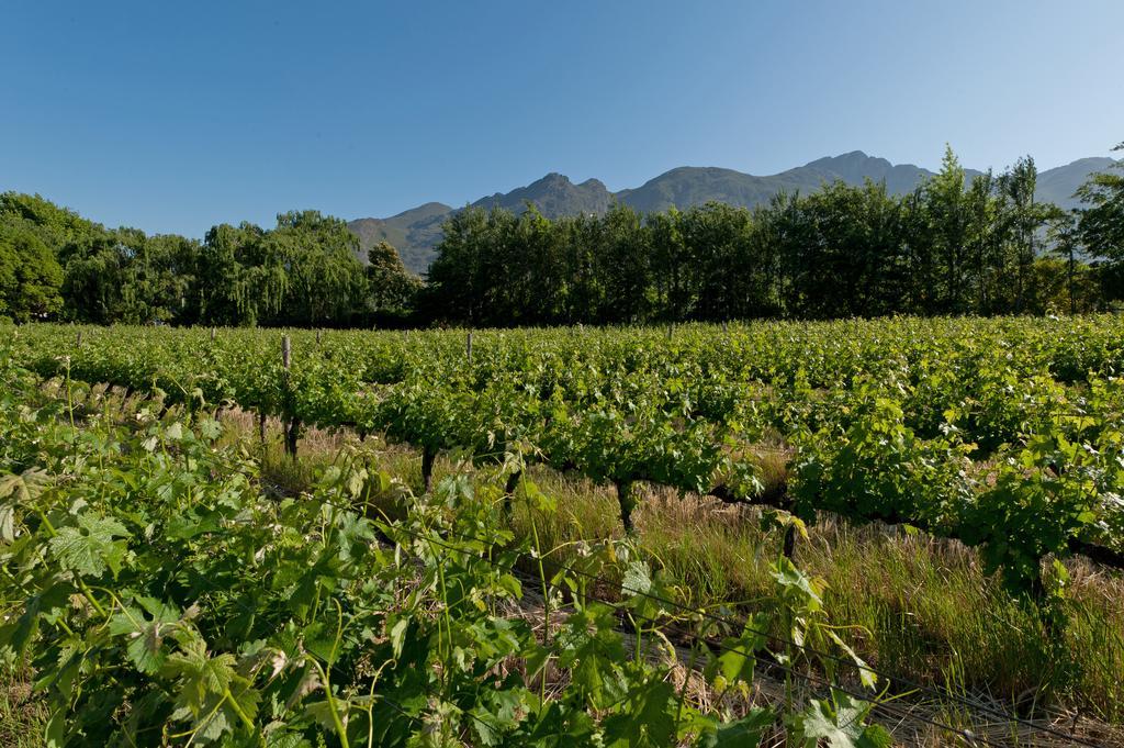 La Galiniere Guest Cottages Franschhoek Exterior foto