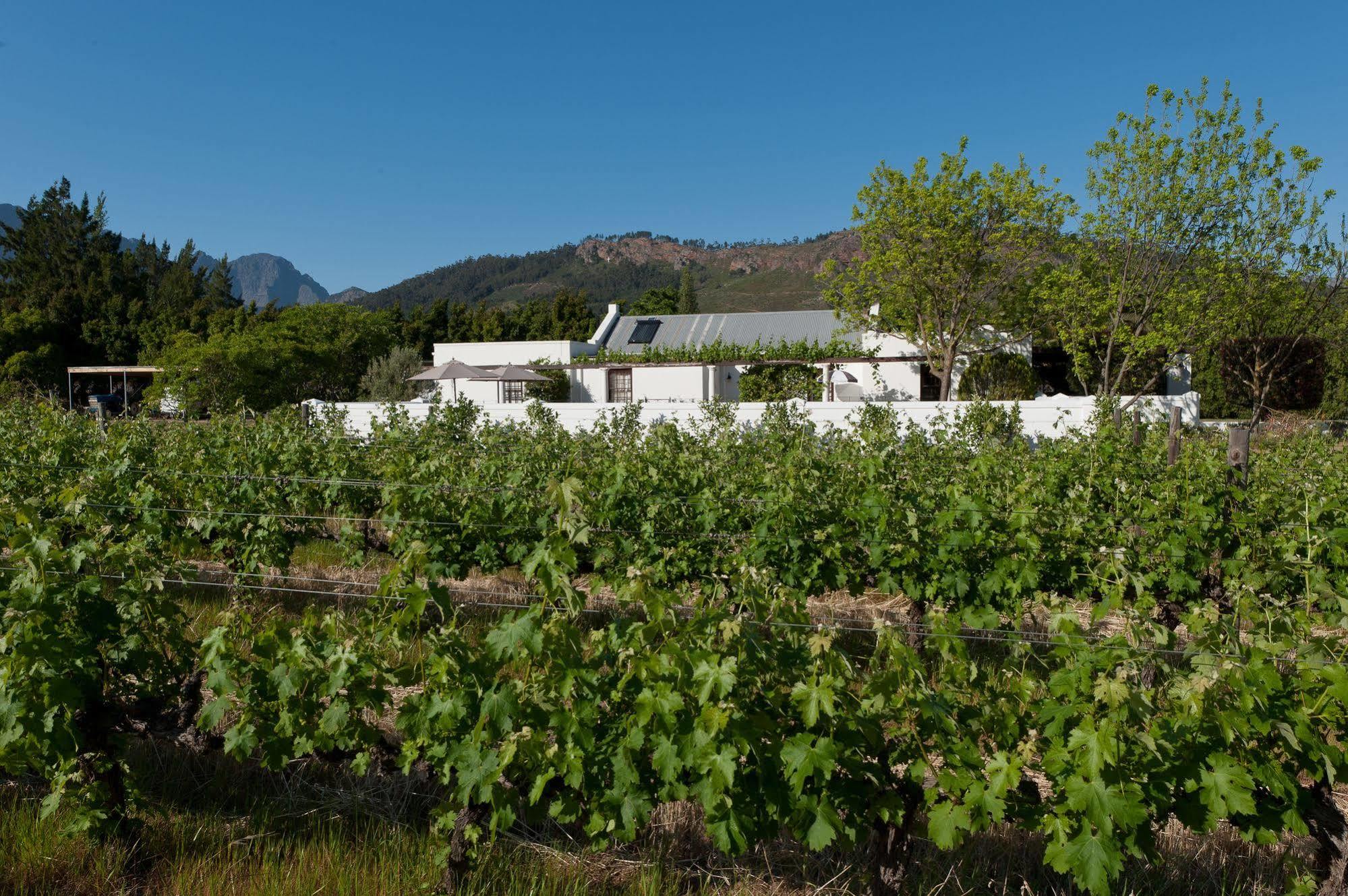 La Galiniere Guest Cottages Franschhoek Exterior foto